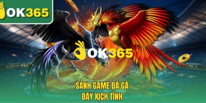 OK365 | Link Trang Chủ OK365.COM Chính Thức 2026 Tặng +65K 18 Chuyên mục đá gà hấp dẫn đỉnh cao 2026